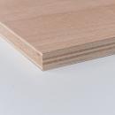 Multiplex Buche BB/BB 20mm